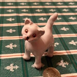 Polish White Cat